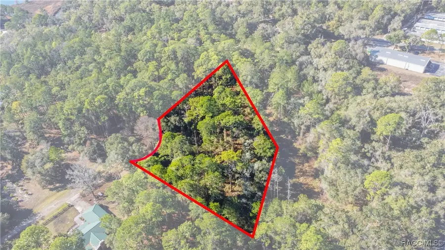 2319 W Wildflower Court, Dunnellon, FL 34434 - Image #3