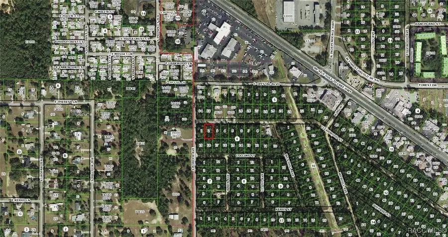 3005 Clearwood Street, Inverness, FL 34452 - Image #2