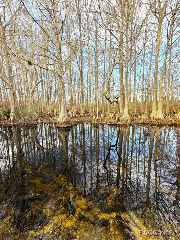 11615 E Salmon Drive, Floral City, FL 34436 - Image #1