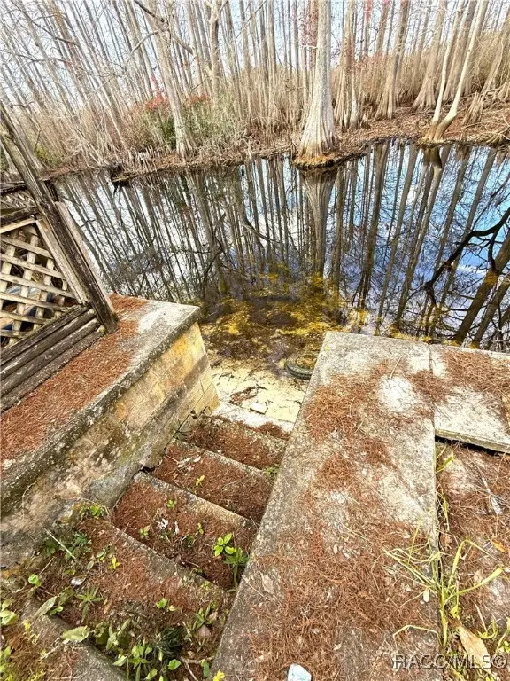 11615 E Salmon Drive, Floral City, FL 34436 - Image #2