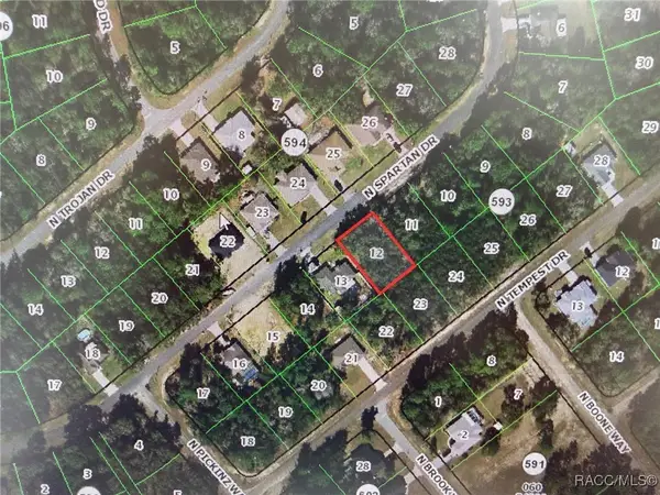 8567 N Spartan Drive, Citrus Springs, FL 34433