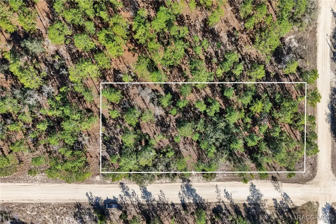 0 SE 2nd, Lot 6 Street, Williston, FL 32696 - #1
