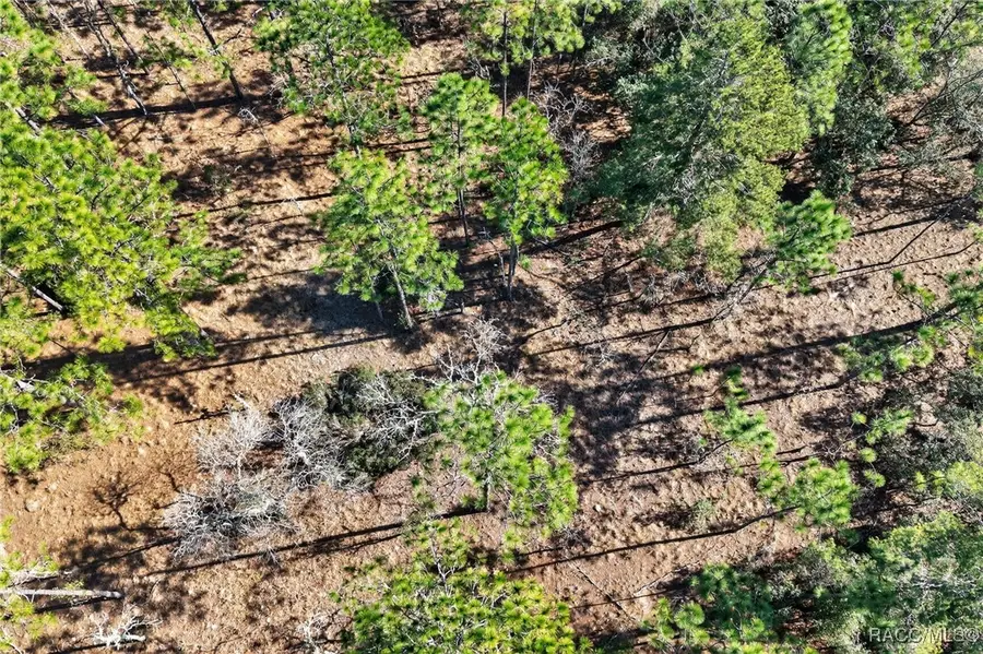 0 SE 2nd, Lot 6 Street, Williston, FL 32696 - #3