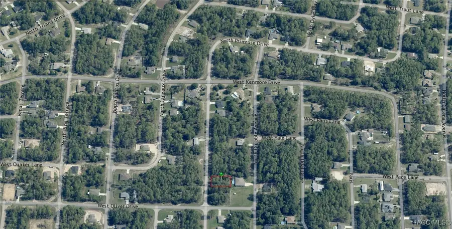 7697 N Primrose Drive, Dunnellon, FL 34434 - Image #2