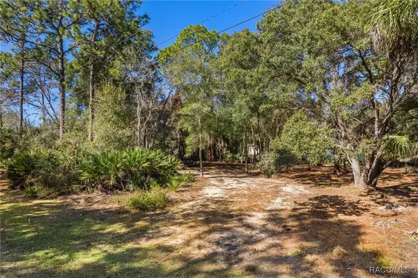 8181 W Tracy Court, Homosassa, FL 34448