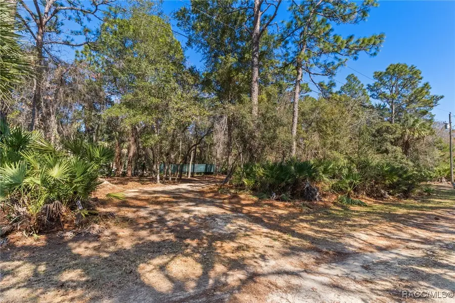 8181 W Tracy Court, Homosassa, FL 34448 - Image #3