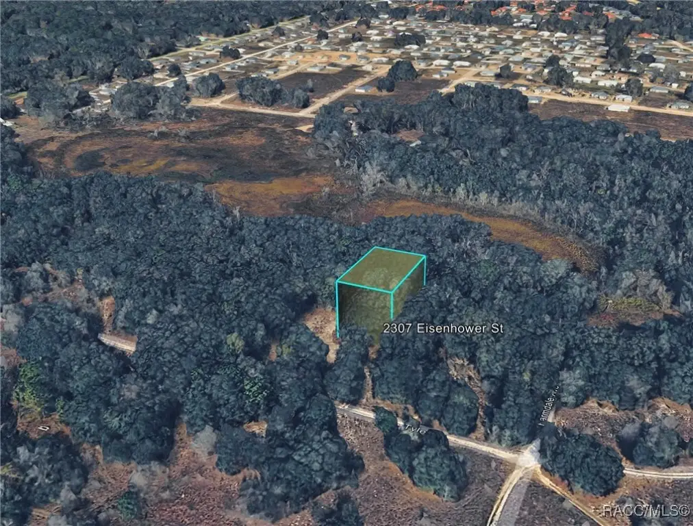 2307 Eisenhower Street, Inverness, FL 34453 - Image #1