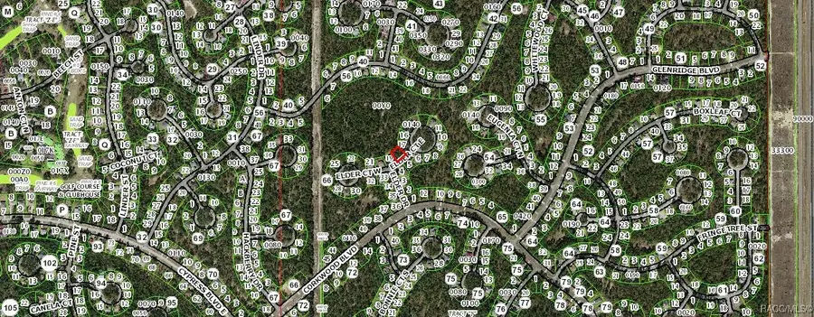 4 Elder Court E, Homosassa, FL 34446 - Image #2