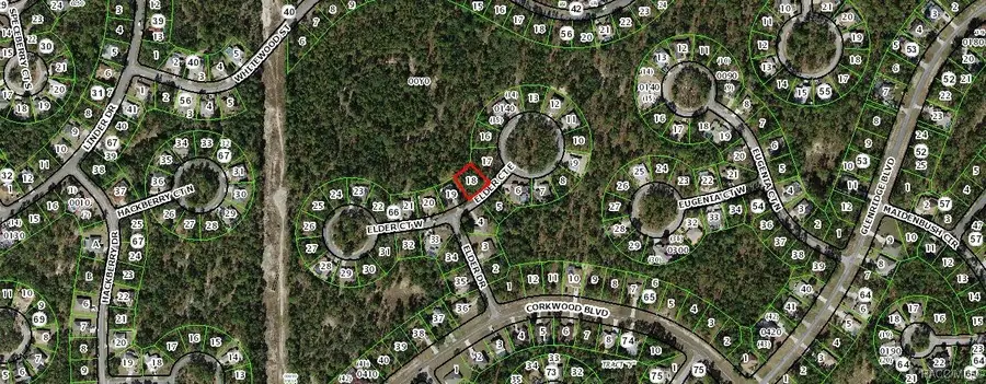 4 Elder Court E, Homosassa, FL 34446 - Image #3