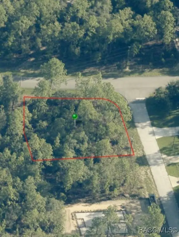 11182 N Balboa Terrace, Dunnellon, FL 34433 - Image #2