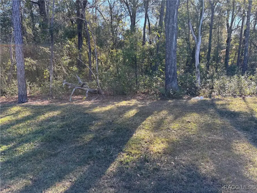 8758 N Salina Drive, Citrus Springs, FL 34434 - Image #3