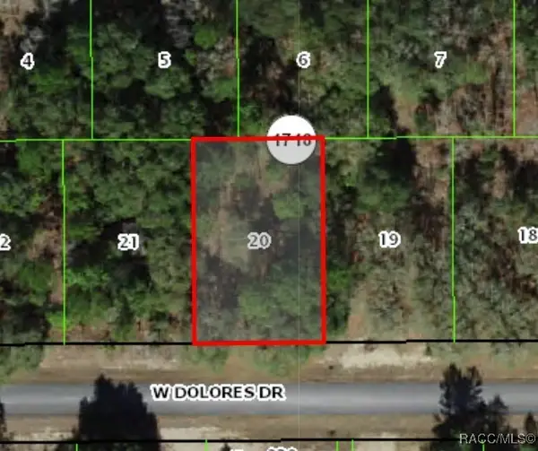 1439 W Dolores Drive, Citrus Springs, FL 34434