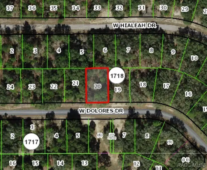 1439 W Dolores Drive, Citrus Springs, FL 34434 - Image #2
