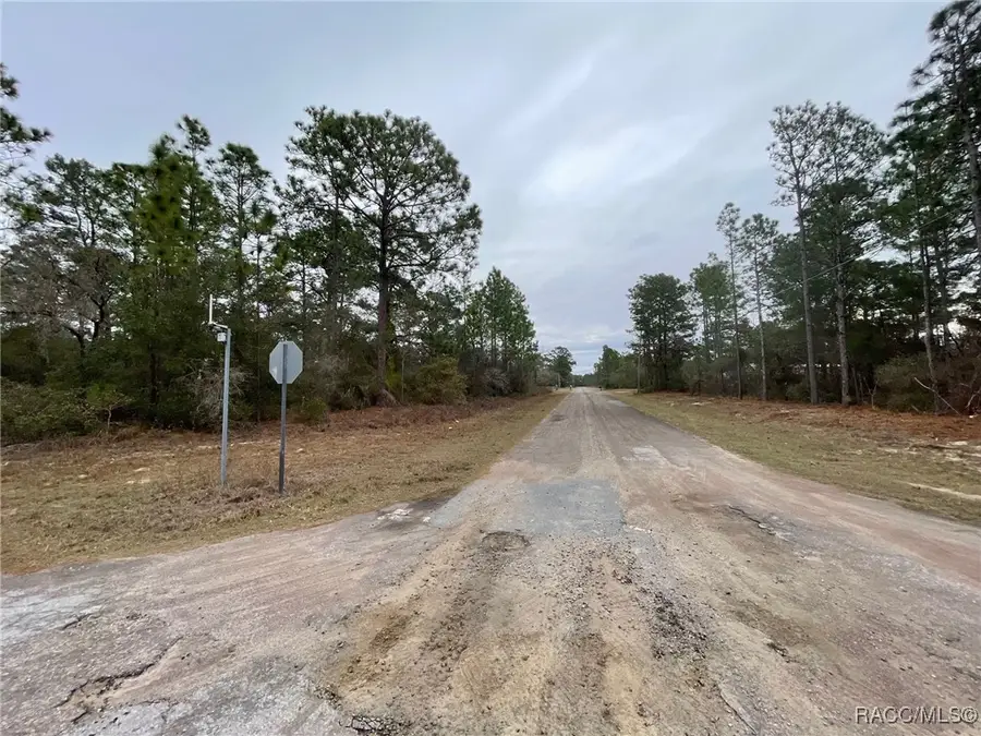 6671 N Dunlap Terrace, Citrus Springs, FL 34433 - Image #3