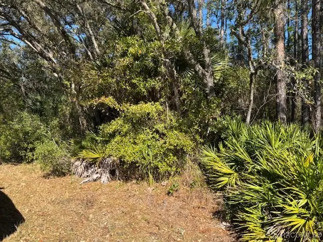 2659 S Bolton Avenue, Homosassa, FL 34448 - Image #2