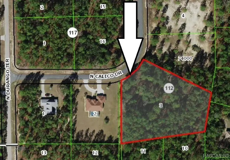 5677 N Calico Drive, Beverly Hills, FL 34465 - Image #1