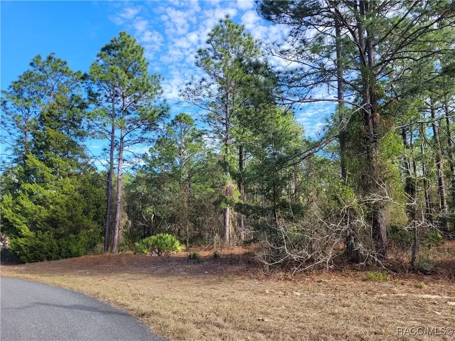 5677 N Calico Drive, Beverly Hills, FL 34465 - Image #2