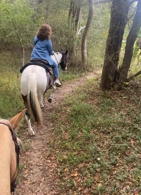 5677 N Calico Drive, Beverly Hills, FL 34465 - Image #3