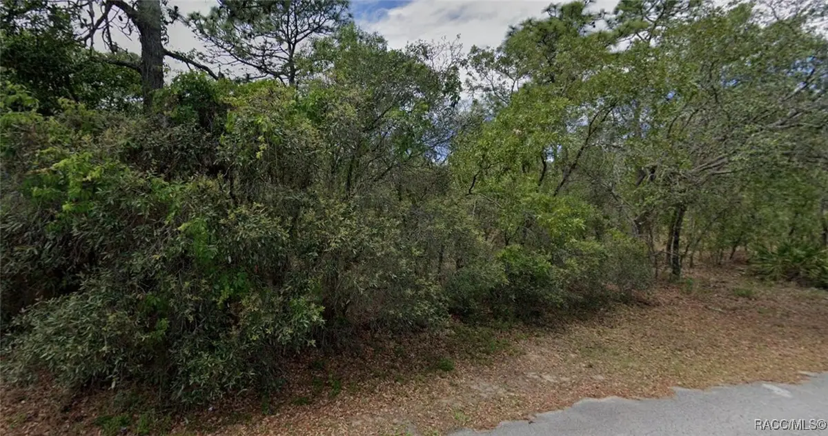 14 Eugenia Court W, Homosassa, FL 34446 - Image #1