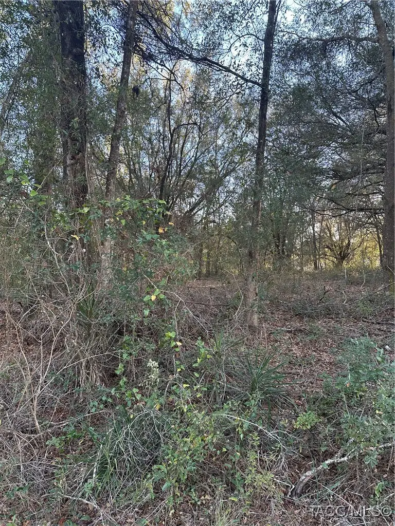 8276 N Elida Avenue, Citrus Springs, FL 34434 - Image #3