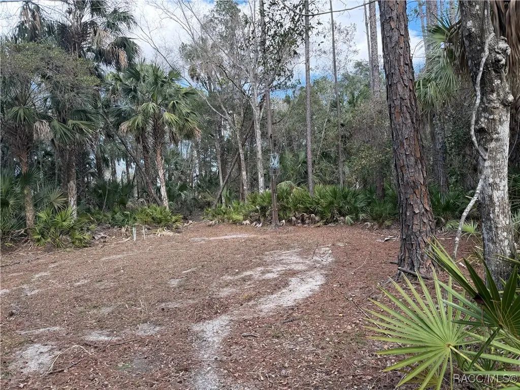 0 SE 193rd Place, Yankeetown, FL 34498 - Image #1