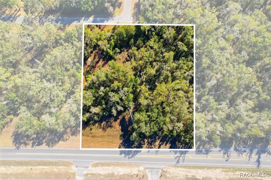 7021 & 7017 N Lecanto Highway, Hernando, FL 34442 - #3