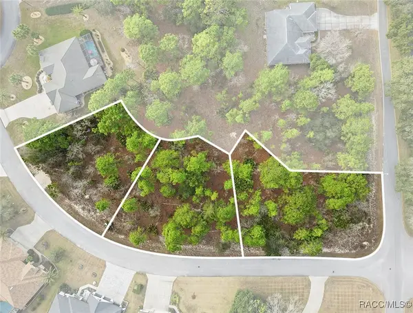 2, 4 & 8 Nephthytis Court, Homosassa, FL 34446