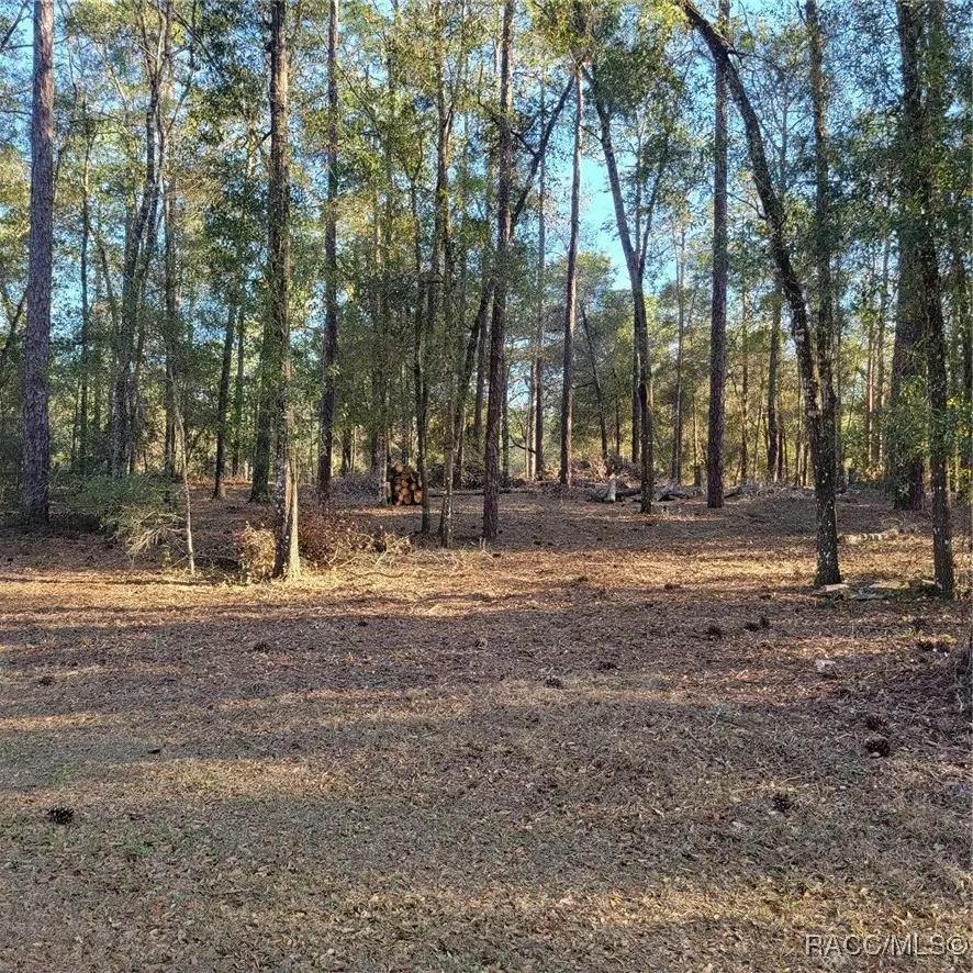 6766 E Waverly Street, Inverness, FL 34452 - Image #1