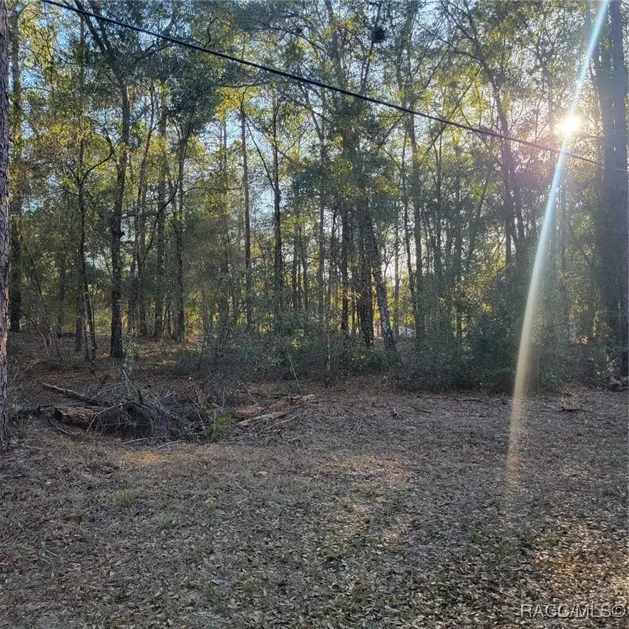 6766 E Waverly Street, Inverness, FL 34452 - Image #2