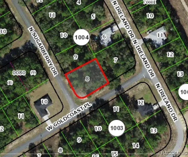 7363 N Sugarberry Drive, Citrus Springs, FL 34434 - #2