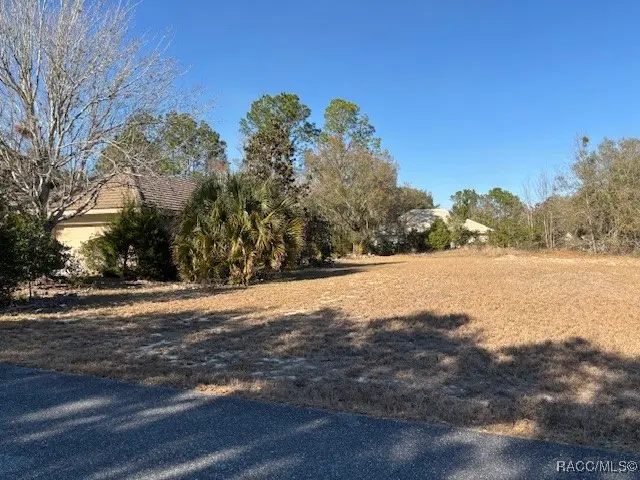 3178 N Barton Creek Circle, Lecanto, FL 34461 - #3