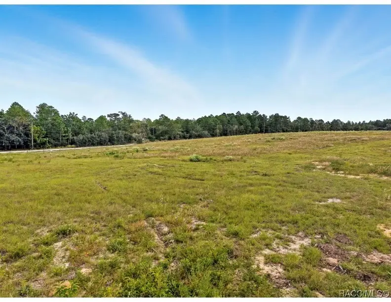 9358 N Unicorn Point, Dunnellon, FL 34433 - #2