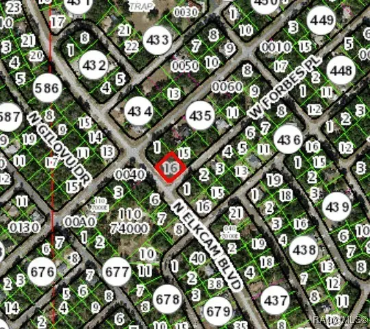 2851 W Forbes Place, Citrus Springs, FL 34434 - Image #3