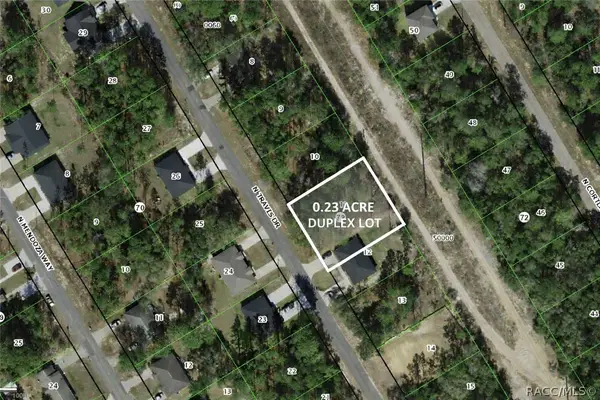 9219 N Travis Drive, Citrus Springs, FL 34434