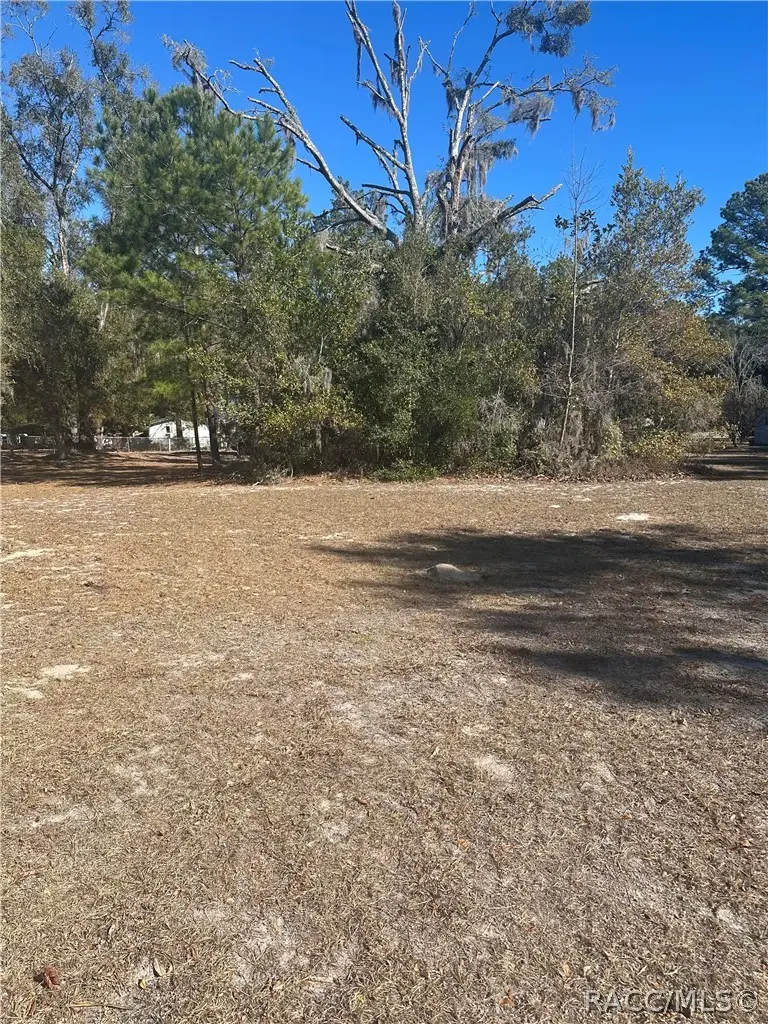 7920 W Missy Place, Dunnellon, FL 34433 - #2