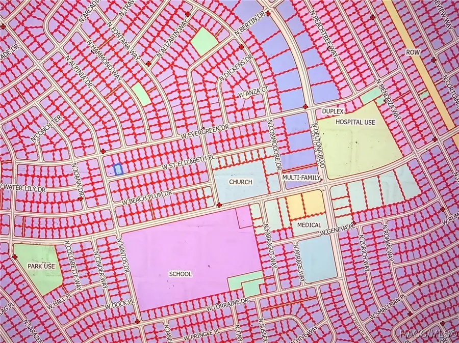 1671 W Saint Elizabeth Place, Citrus Springs, FL 34434 - Image #3