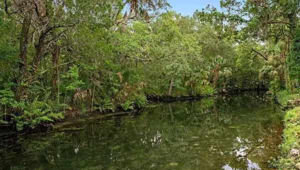 8896 W White Dogwood Drive, Homosassa, FL 34429