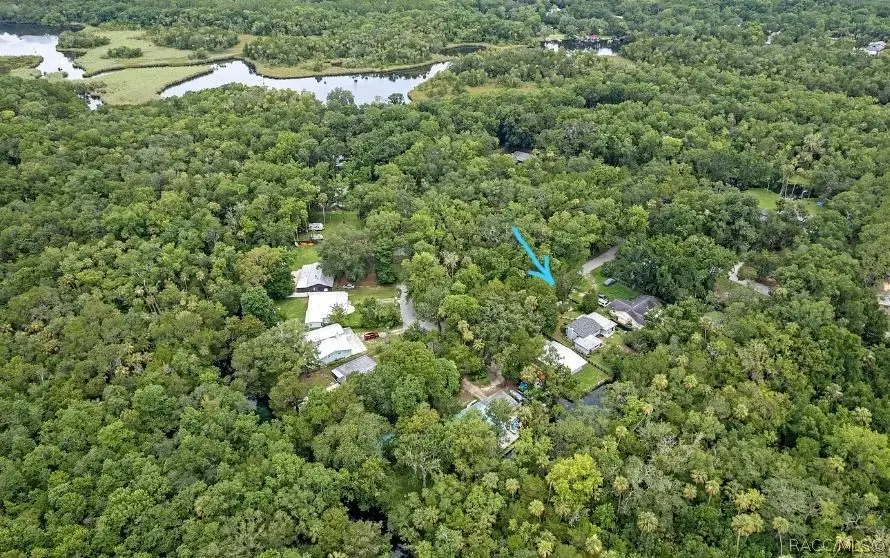 8896 W White Dogwood Drive, Homosassa, FL 34429 - #2