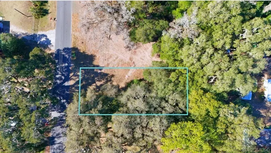 1699 W Henry Blair Lane, Dunnellon, FL 34434 - Image #2