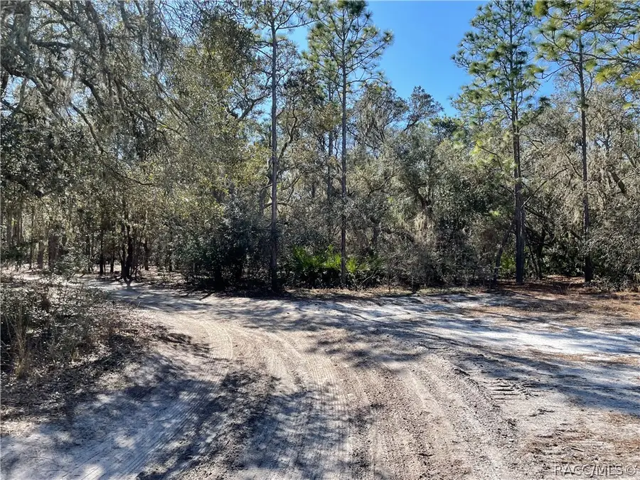 3770 Kingfisher Street, Inverness, FL 34450 - Image #2