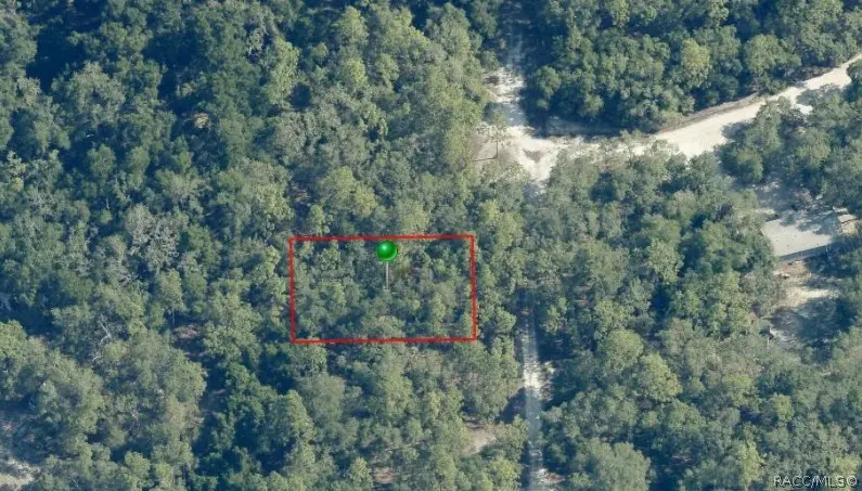 3770 Kingfisher Street, Inverness, FL 34450 - Image #3