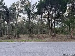 11905 W Eldred Lane, Homosassa, FL 34448