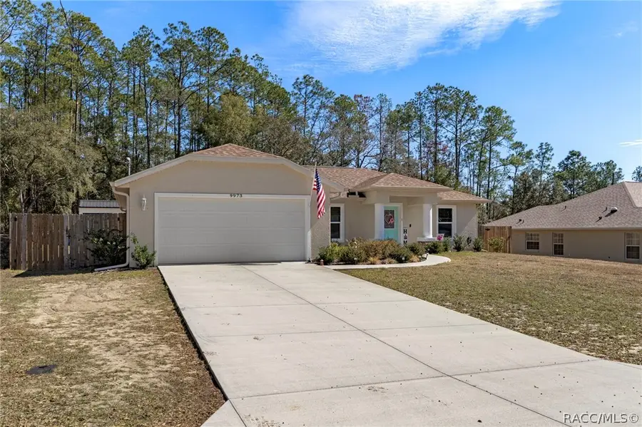 9973 N Chelic Drive, Citrus Springs, FL 34434 - #2