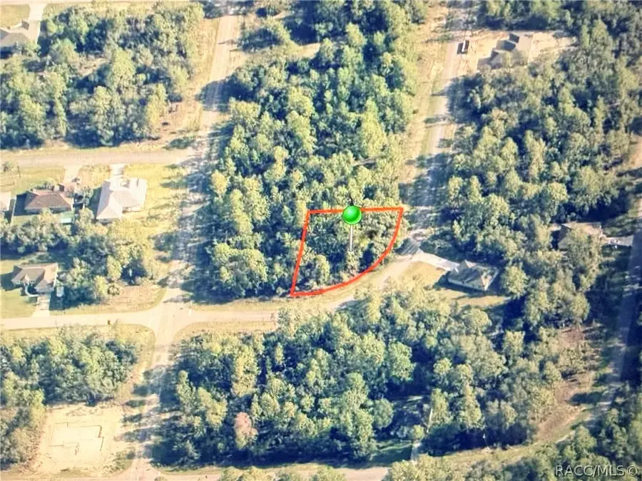 6684 N Waterman Drive, Dunnellon, FL 34433 - #2