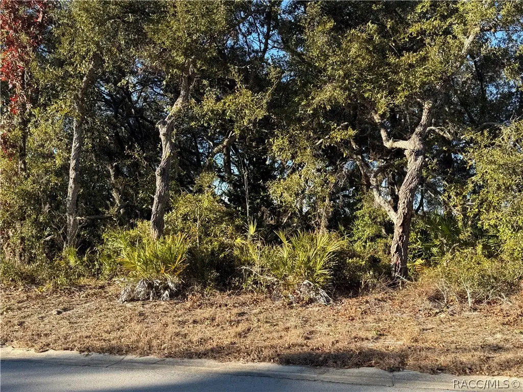 7023 W Merrivale Lane, Homosassa, FL 34446 - #1