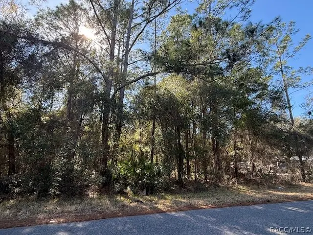 4280 E Nugget Pass Place, Dunnellon, FL 34434 - #3