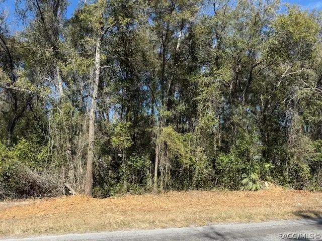 3667 E Orchid Street, Hernando, FL 34442 - #3