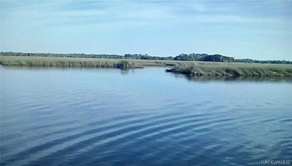 11946 W Bald Eagle Court, Crystal River, FL 34429 - #1