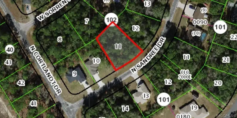 9991 N Sandree Drive, Citrus Springs, FL 34434 - #1