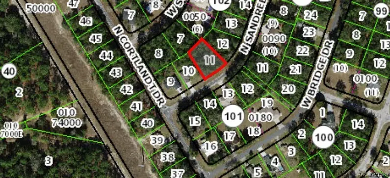 9991 N Sandree Drive, Citrus Springs, FL 34434 - #2